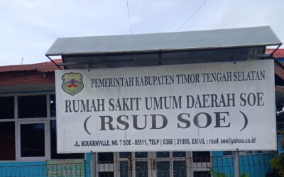 Examining Miscarriage Services in South Central Timor Regency: between Access, Knowledge, and Geographical Challenges