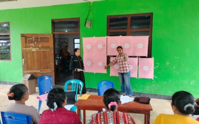 Feedback Mechanism to Promote Quality Improvement in Family Planning and Post-Abortion Care Services in South Central Timor Regency